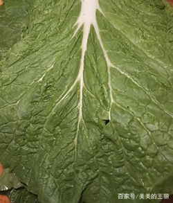 u=1177502178,3752055163&fm=175&app=25&f=JPEG.jpg