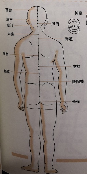 施针运气调息图.jpg