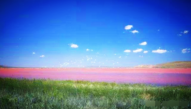 粉红湖.jpg