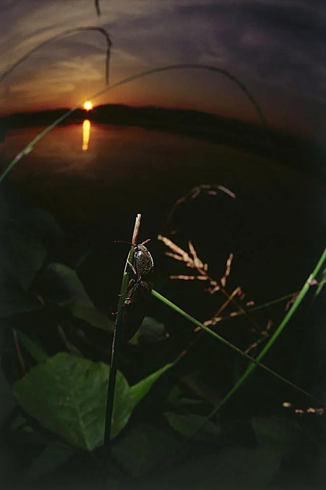dda26e281c0744cba20e0a0cb90ff0f5.jpg