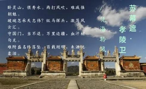 4d5183fd0fd9495a8d25b565a9916d1a.jpg