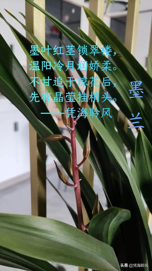 3c8651ca0f164f96a73884a06ff2b66c.jpg