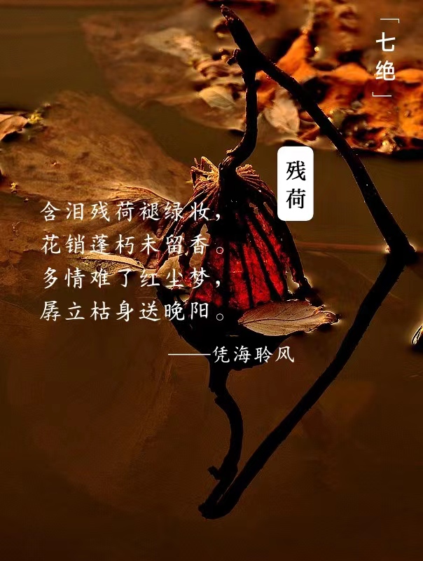 七绝·残荷.jpg