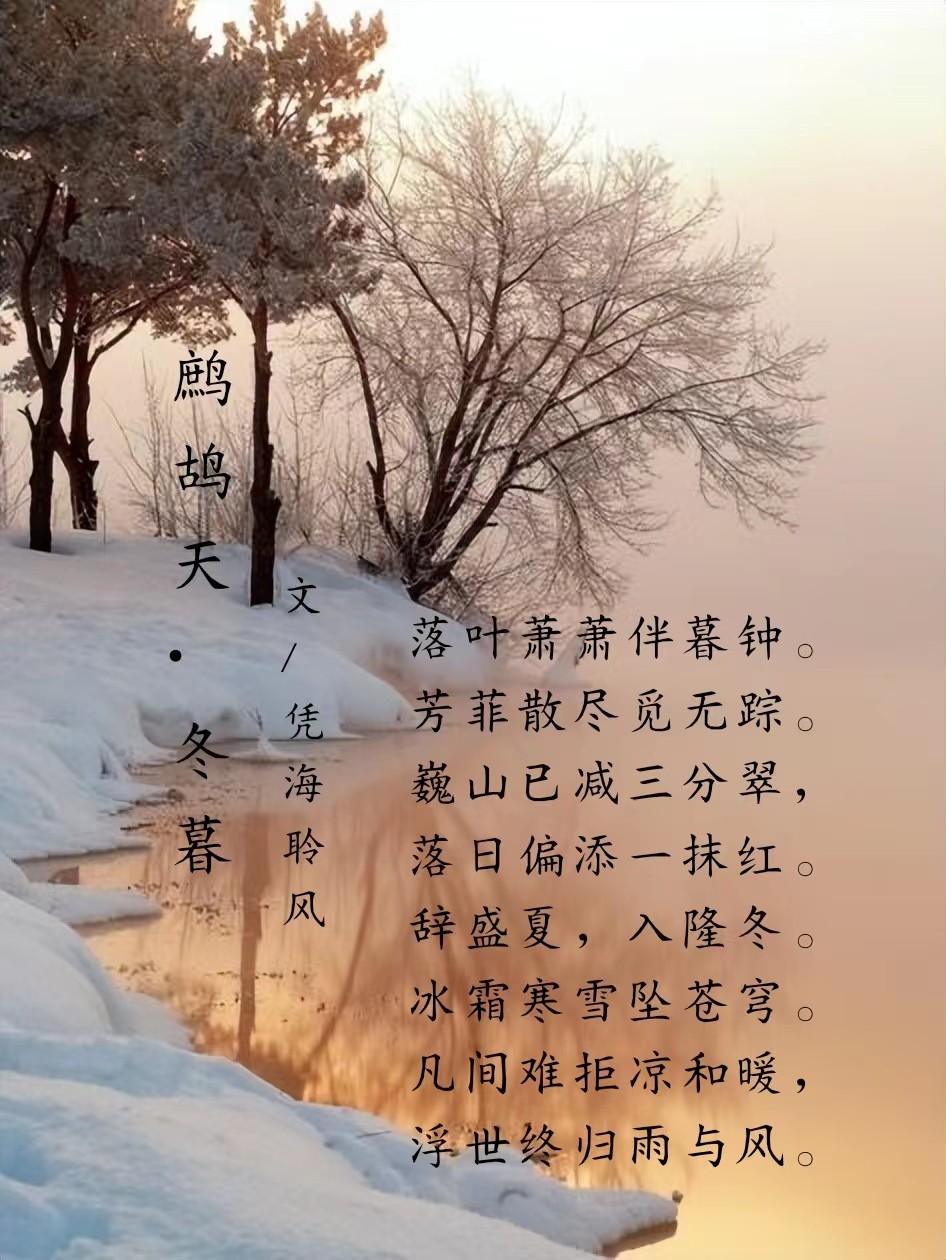 鹧鸪天·冬暮.jpg