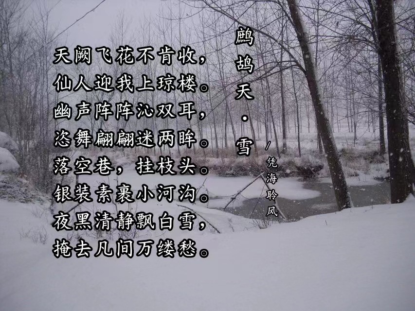鹧鸪天·雪.jpg
