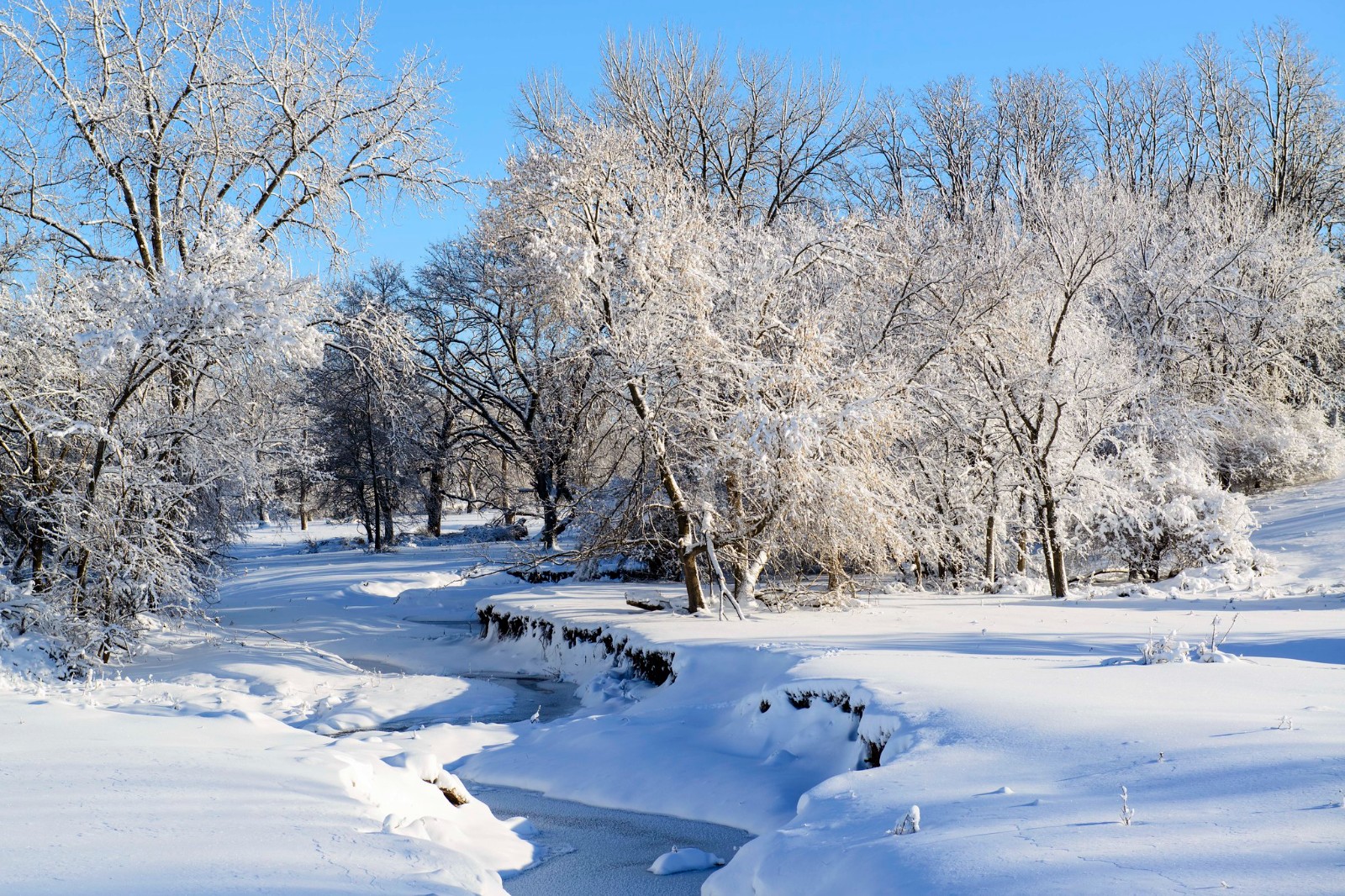 After a snow storm, the sun emerged revealing this beautiful scene on Cedar River Road west of Mount Vernon, IA..jpg