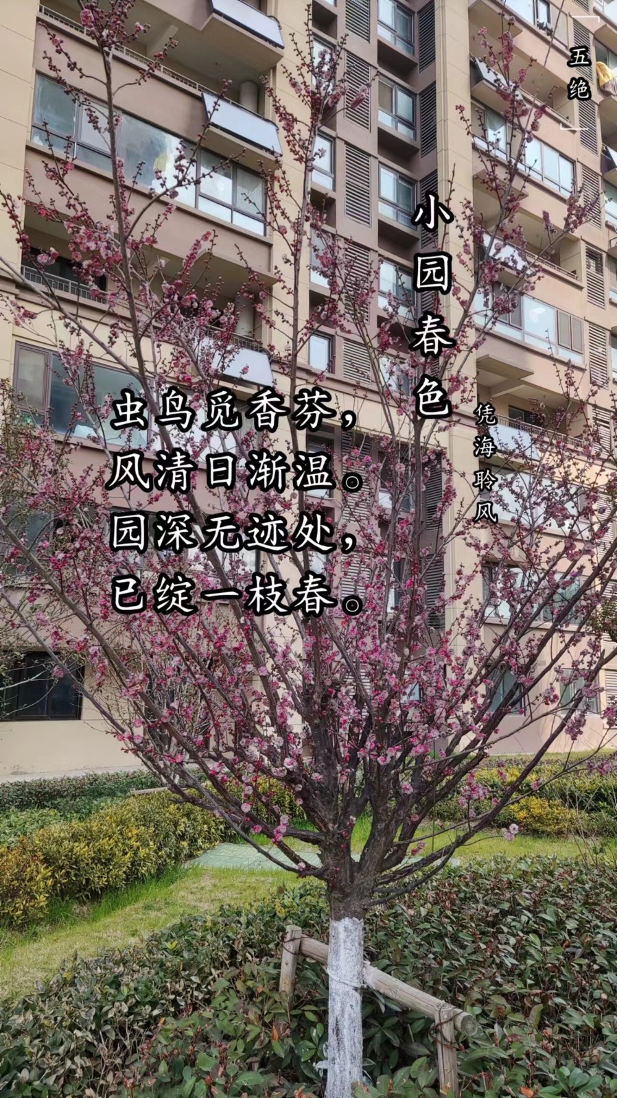 五绝·小园春色.jpg