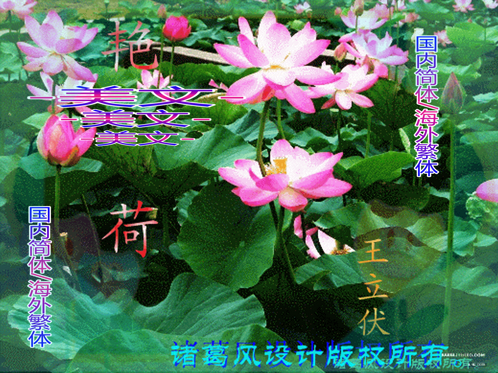 3264546779891754516.gif