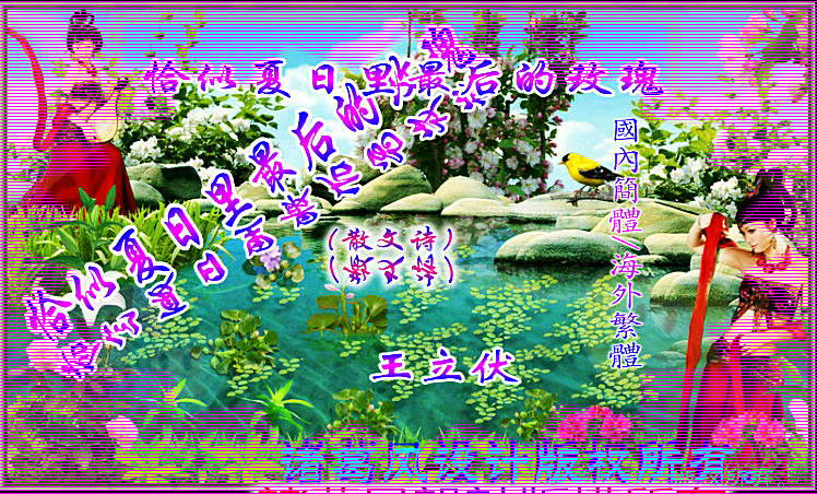 恰似夏日里最后的玫瑰.jpg
