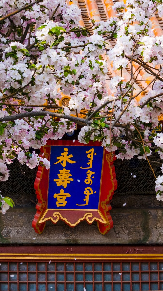 永寿宫.jpg