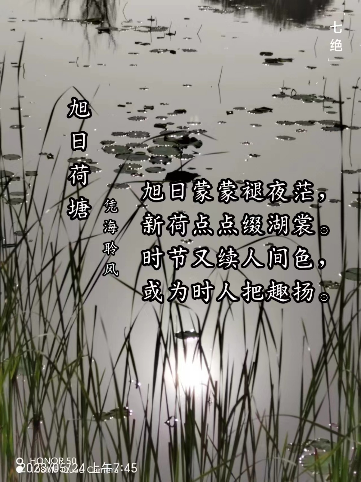 七绝·旭日荷塘.jpg