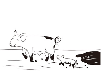 01-pig-01.jpg