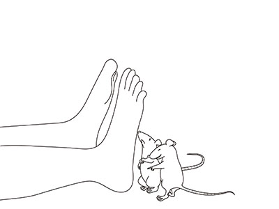 04-rat-01.jpg