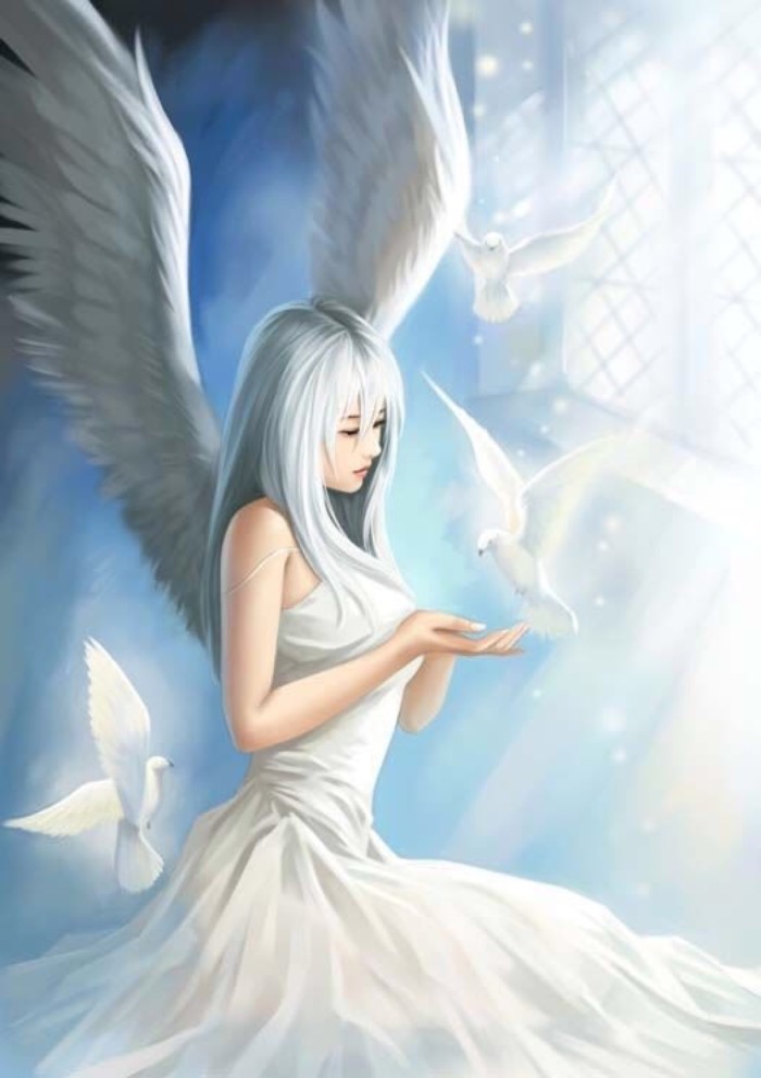 天使.jpg
