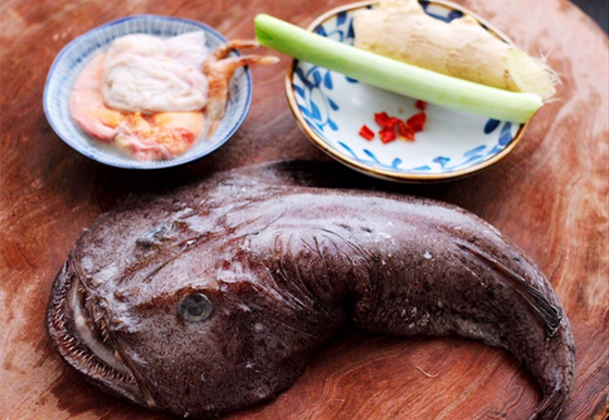鮟鱇鱼_副本.png