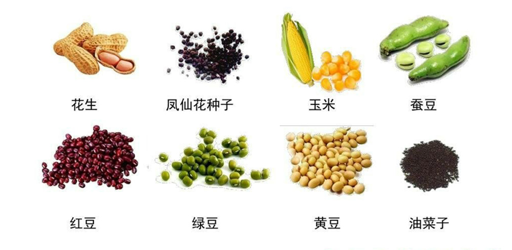 番茄的种子1.jpg