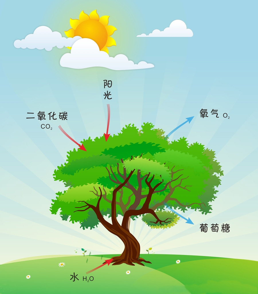 做手工1.jpg