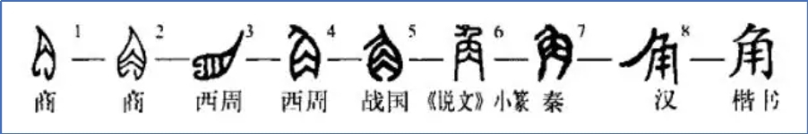 文字演变5.jpg