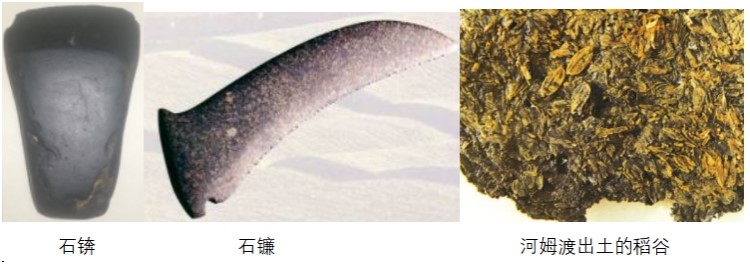 先秦农业1.jpg