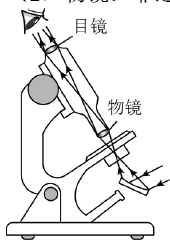 微信截图_20241205115624.png