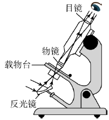 微信截图_20241205115636.png