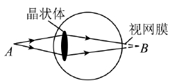 微信截图_20241205120751.png