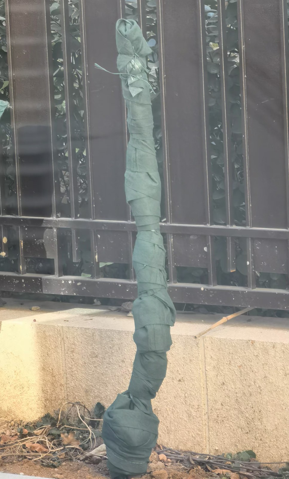 微信图片_20250114125305.jpg