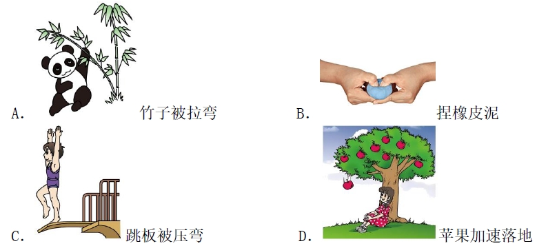 微信截图_20250301064152.png