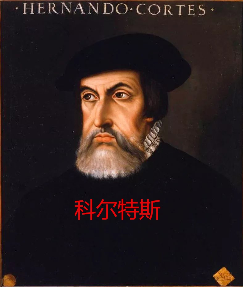科尔特斯标准像.jpg