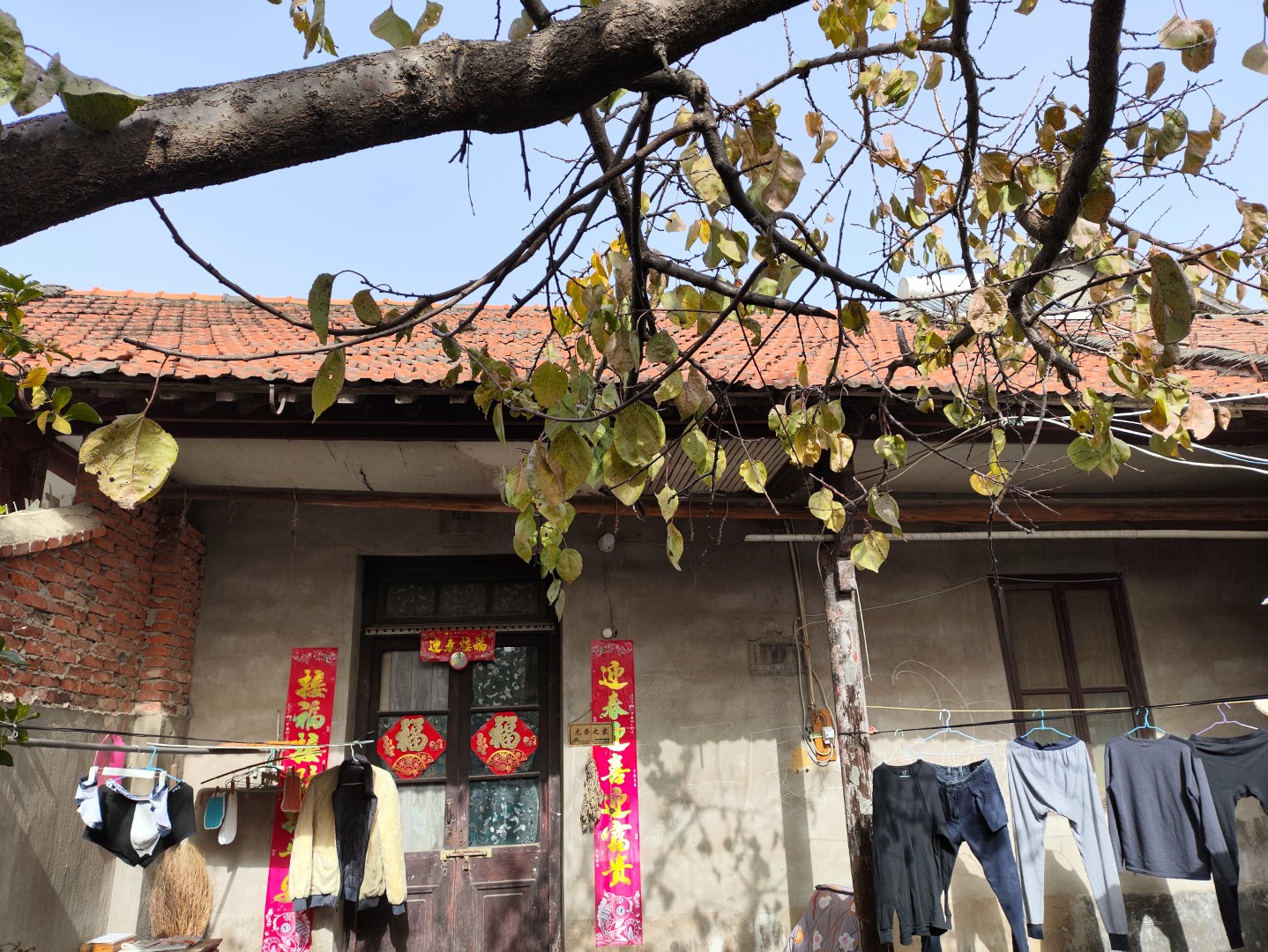 IMG_20251127_121139 (大).jpg