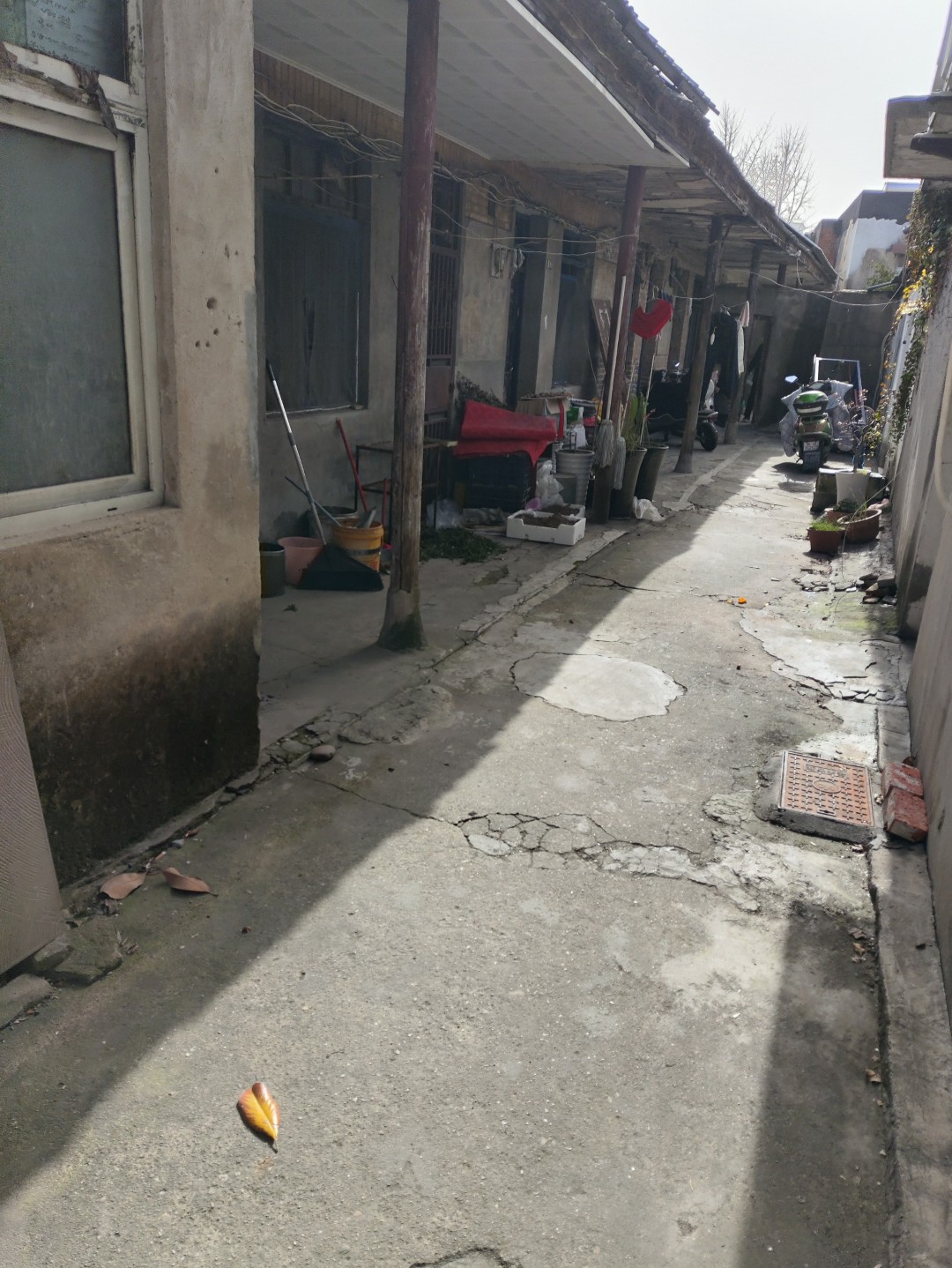 IMG_20251127_121409 (大).jpg