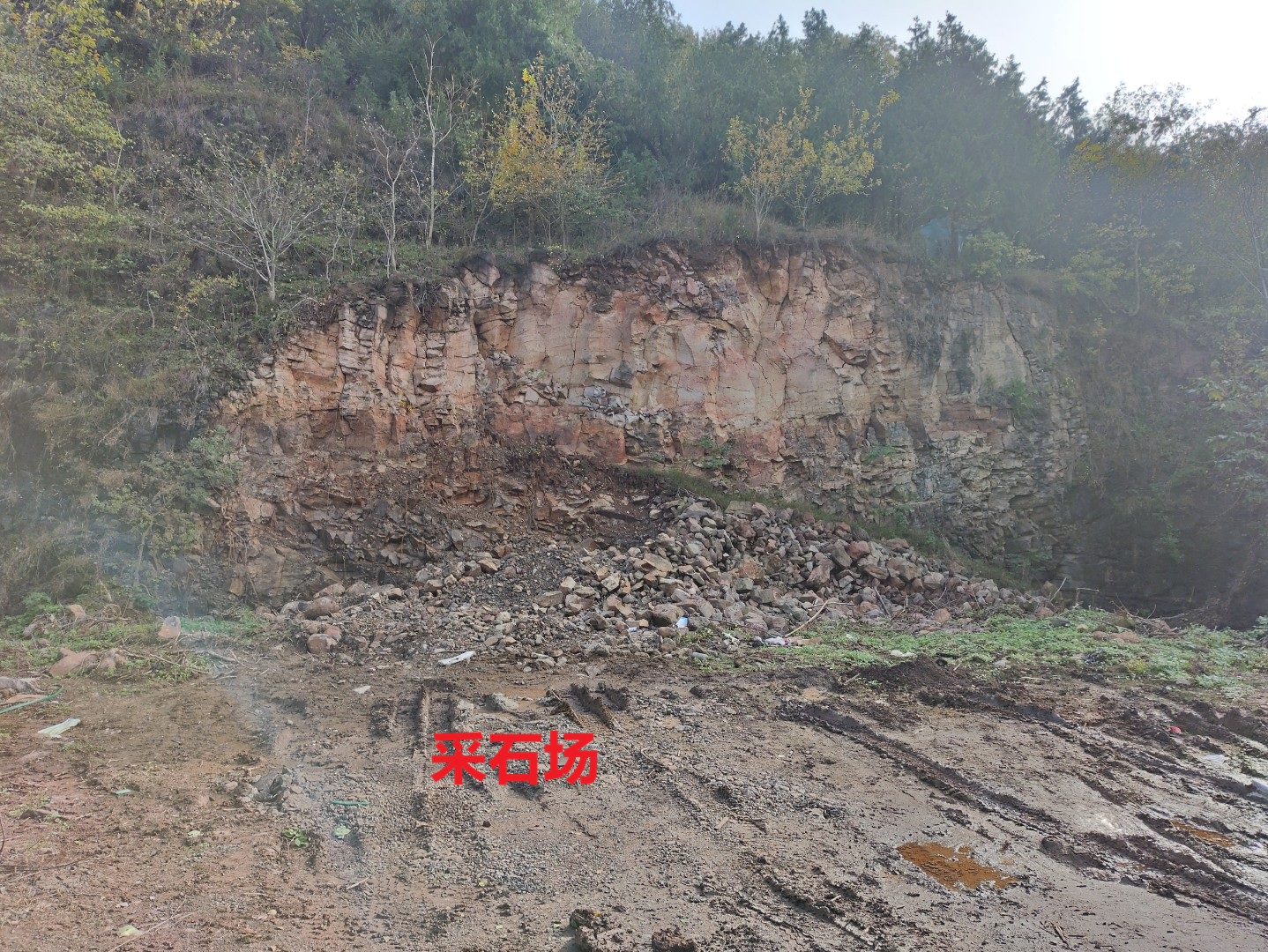 IMG_20251109_144015 (大).jpg