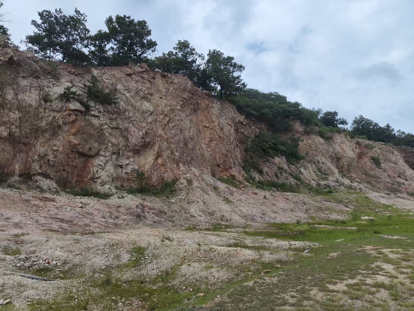 mmexport1770801514480 (大).jpg