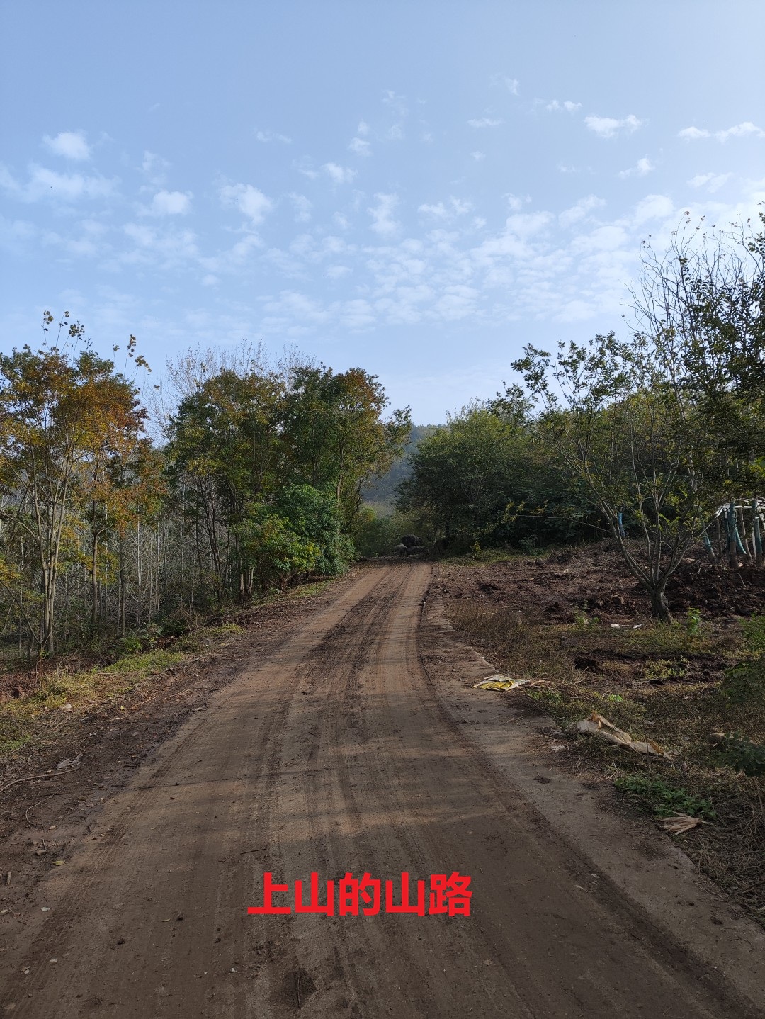 IMG_20251109_143553 (大).jpg