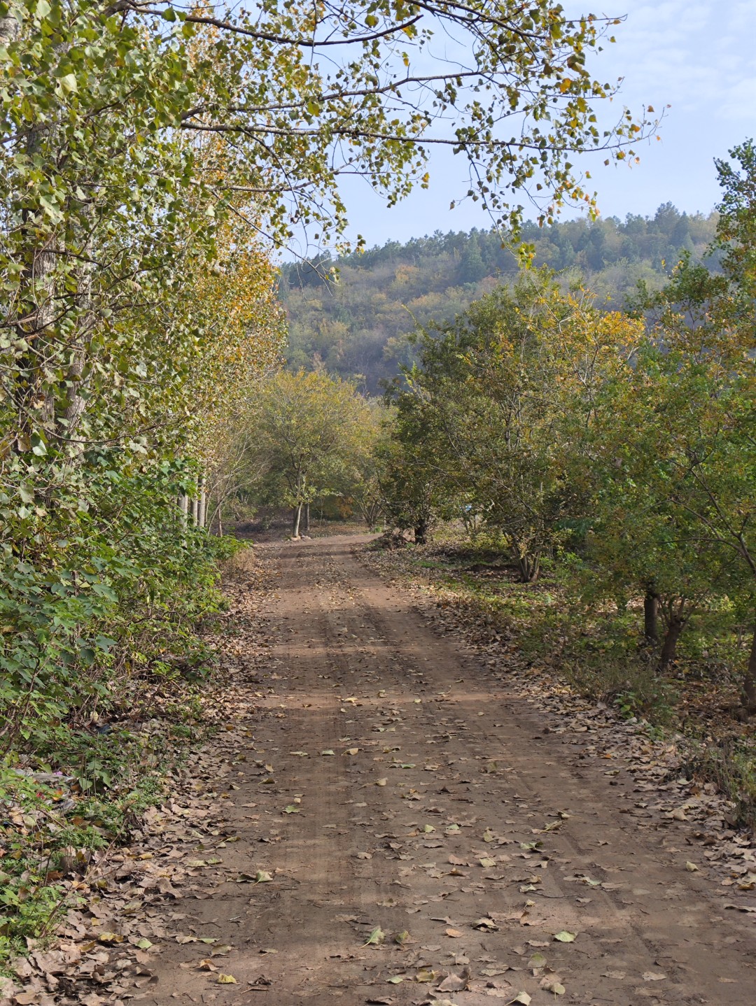 IMG_20251109_143711 (大).jpg