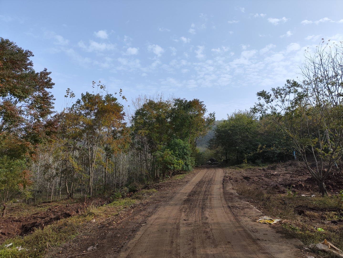 IMG_20251109_143558 (大).jpg