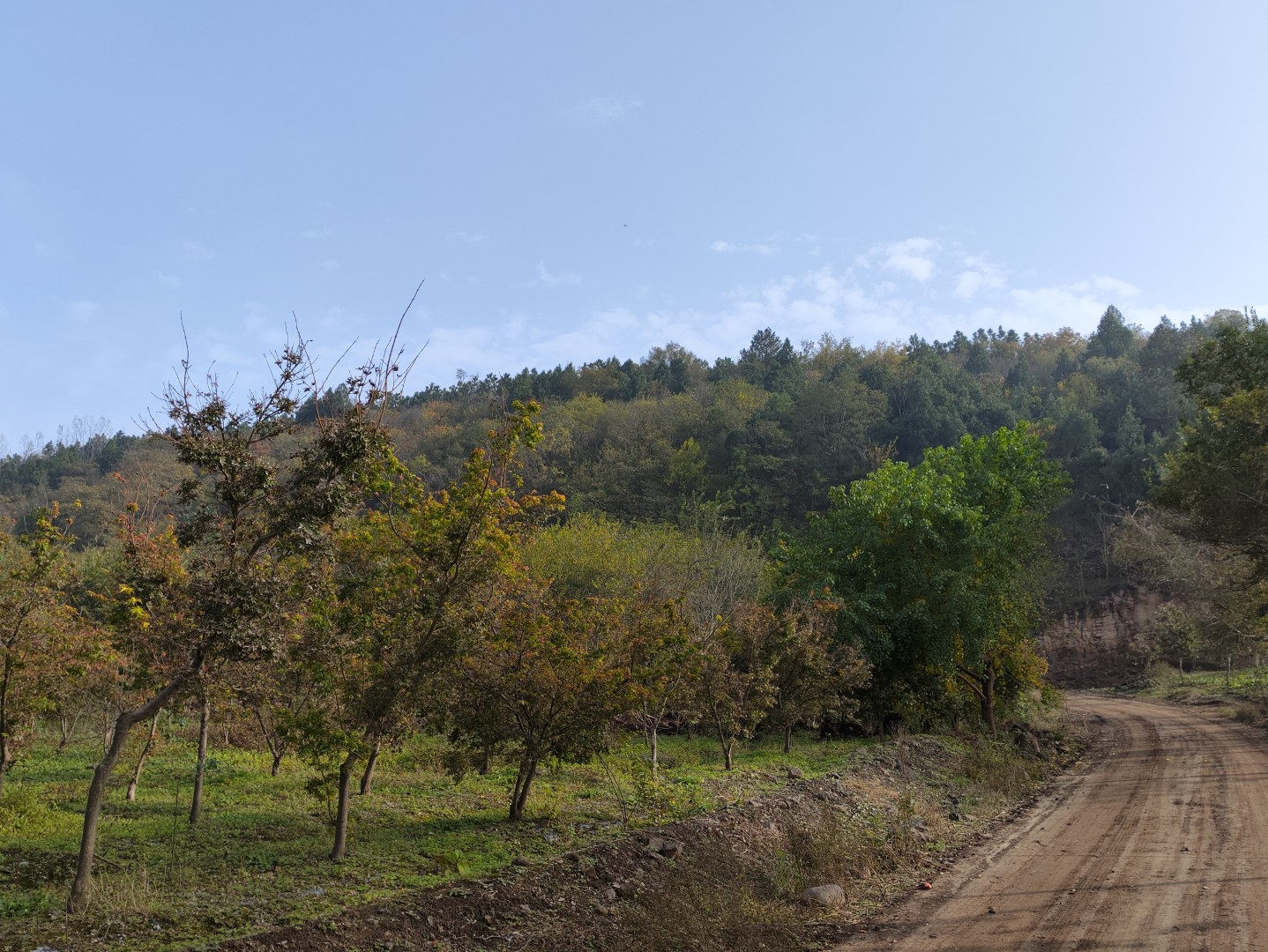 IMG_20251109_143901 (大).jpg