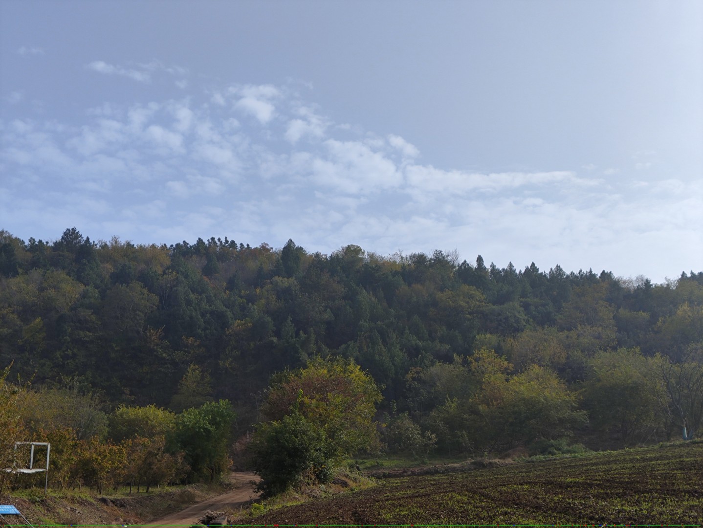 IMG_20251109_143816 (大).jpg