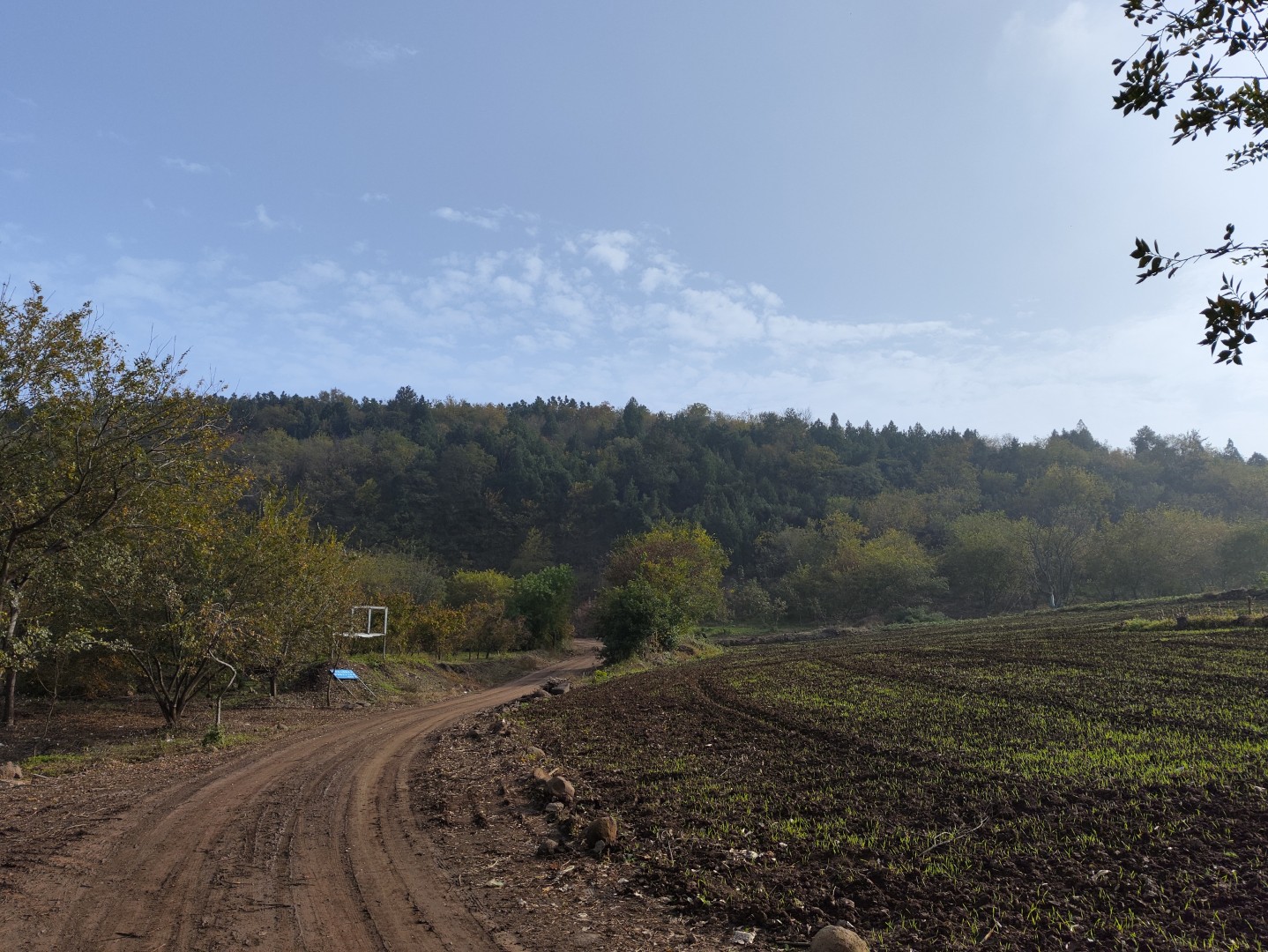 IMG_20251109_143811 (大).jpg