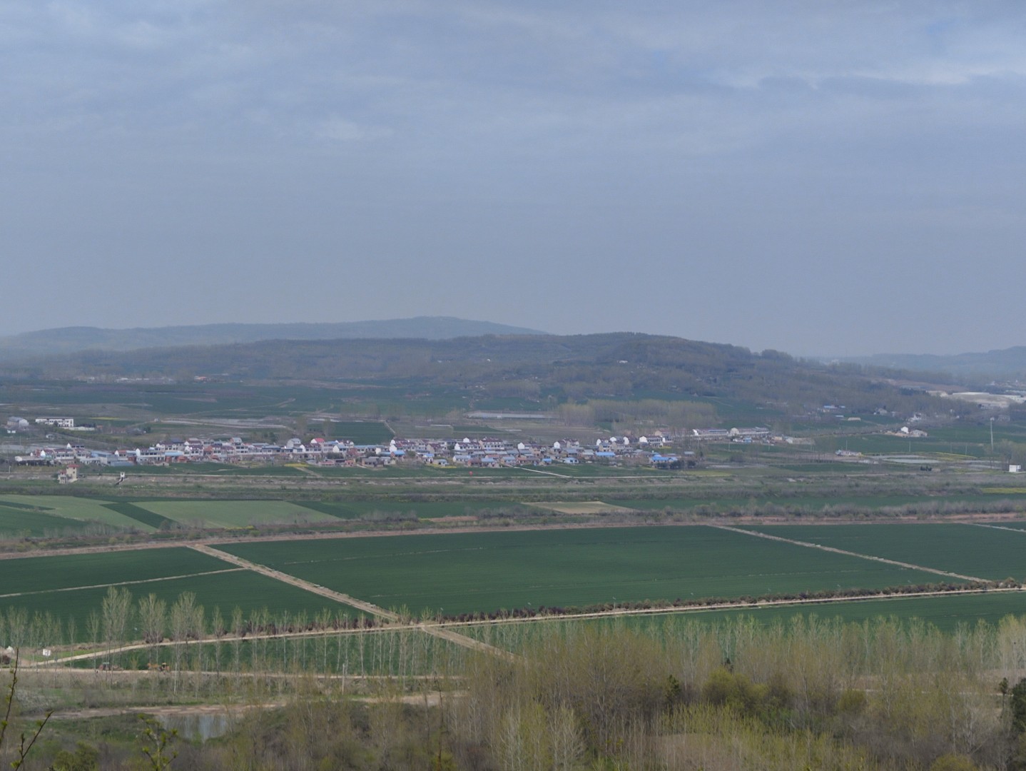 IMG_20240406_132220 (大).jpg