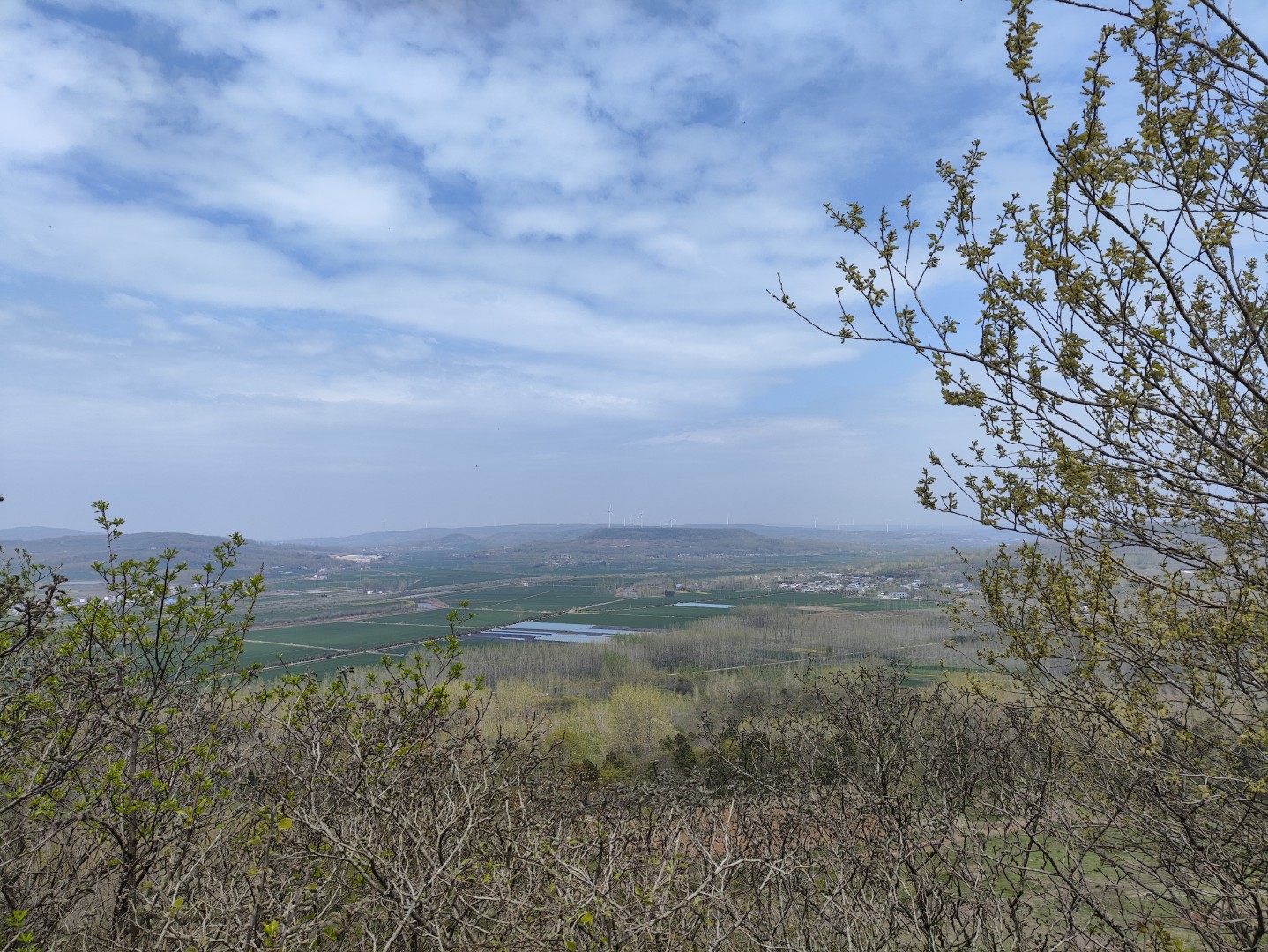 IMG_20240406_132032 (大).jpg