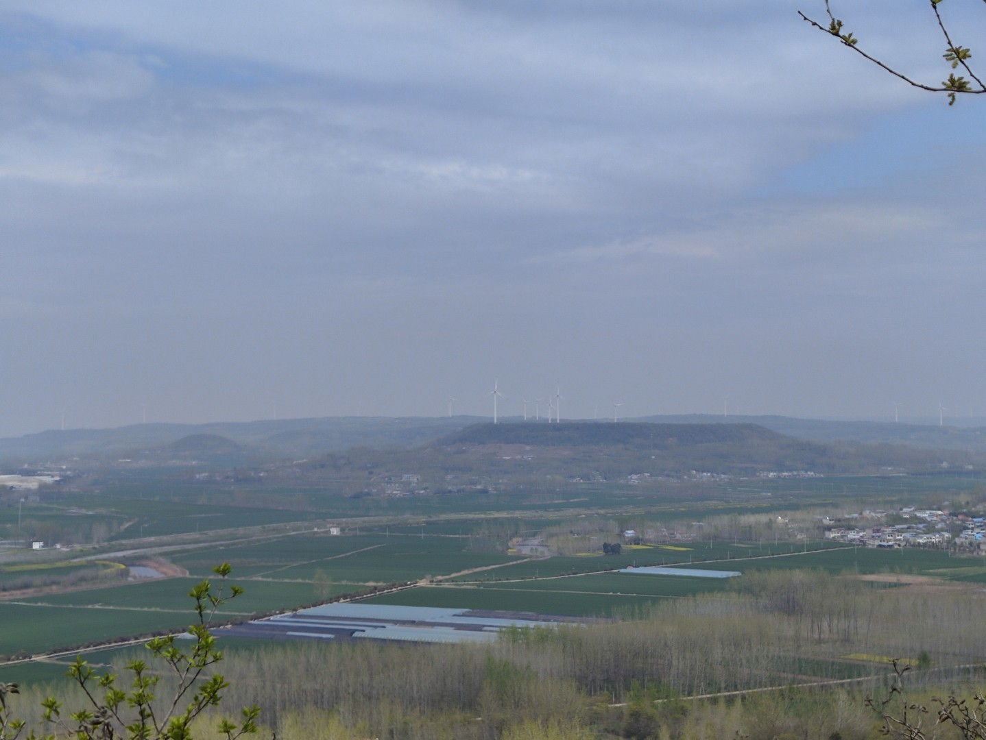 IMG_20240406_132039 (大).jpg