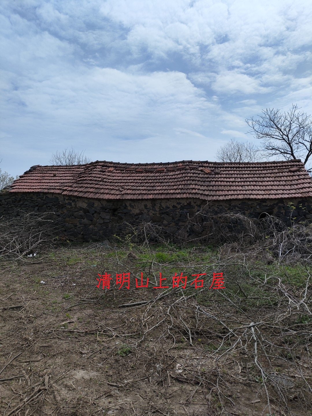 IMG_20240406_133302 (大).jpg