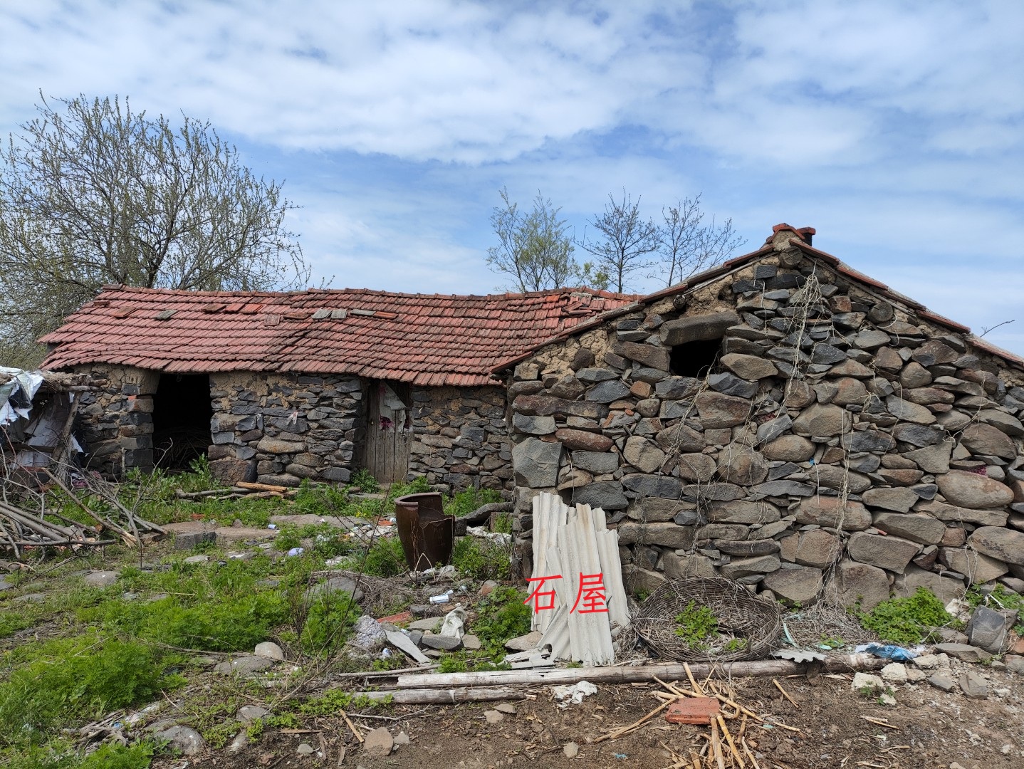 IMG_20240406_133342 (大).jpg