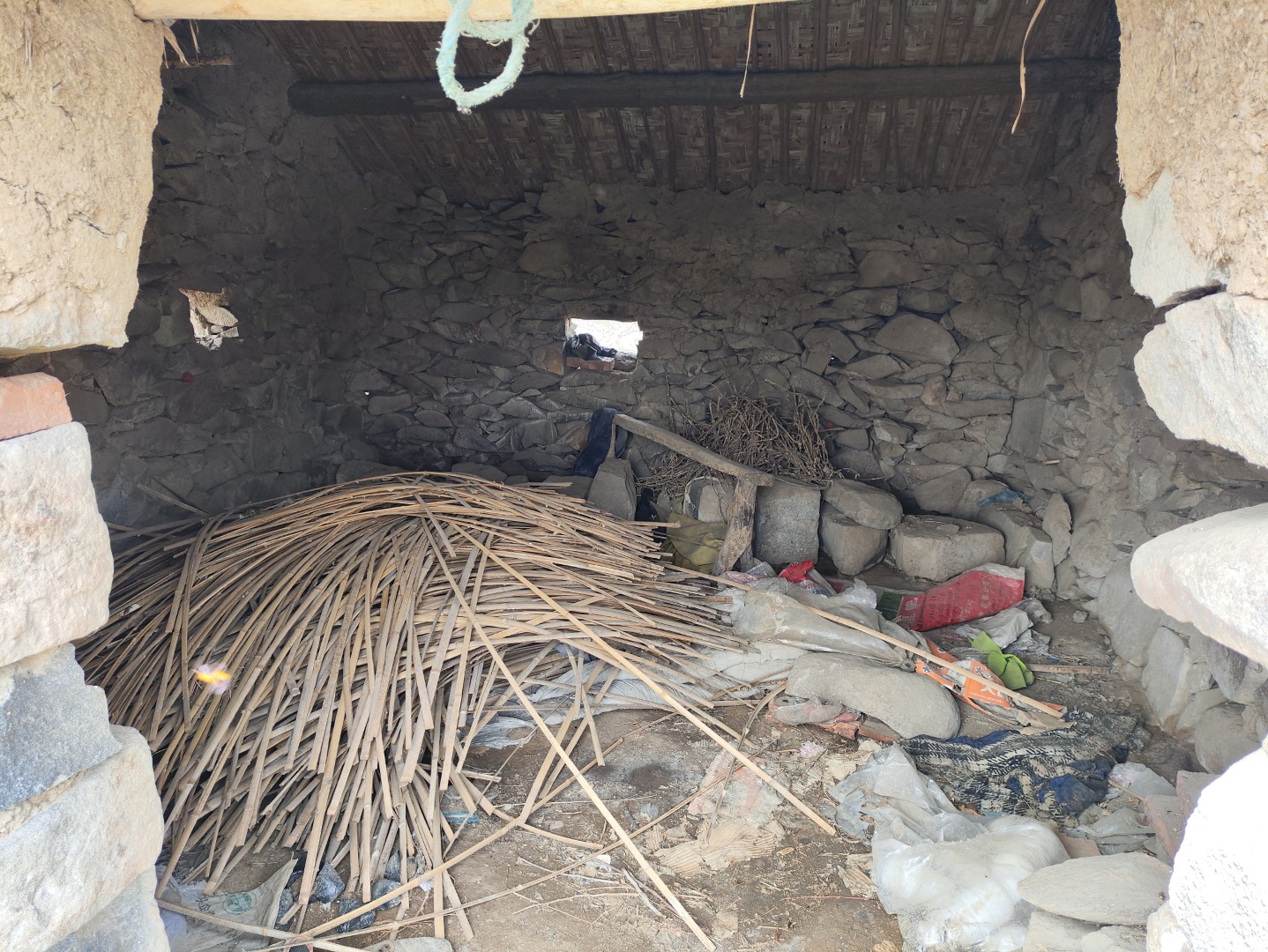 IMG_20240406_133518 (大).jpg