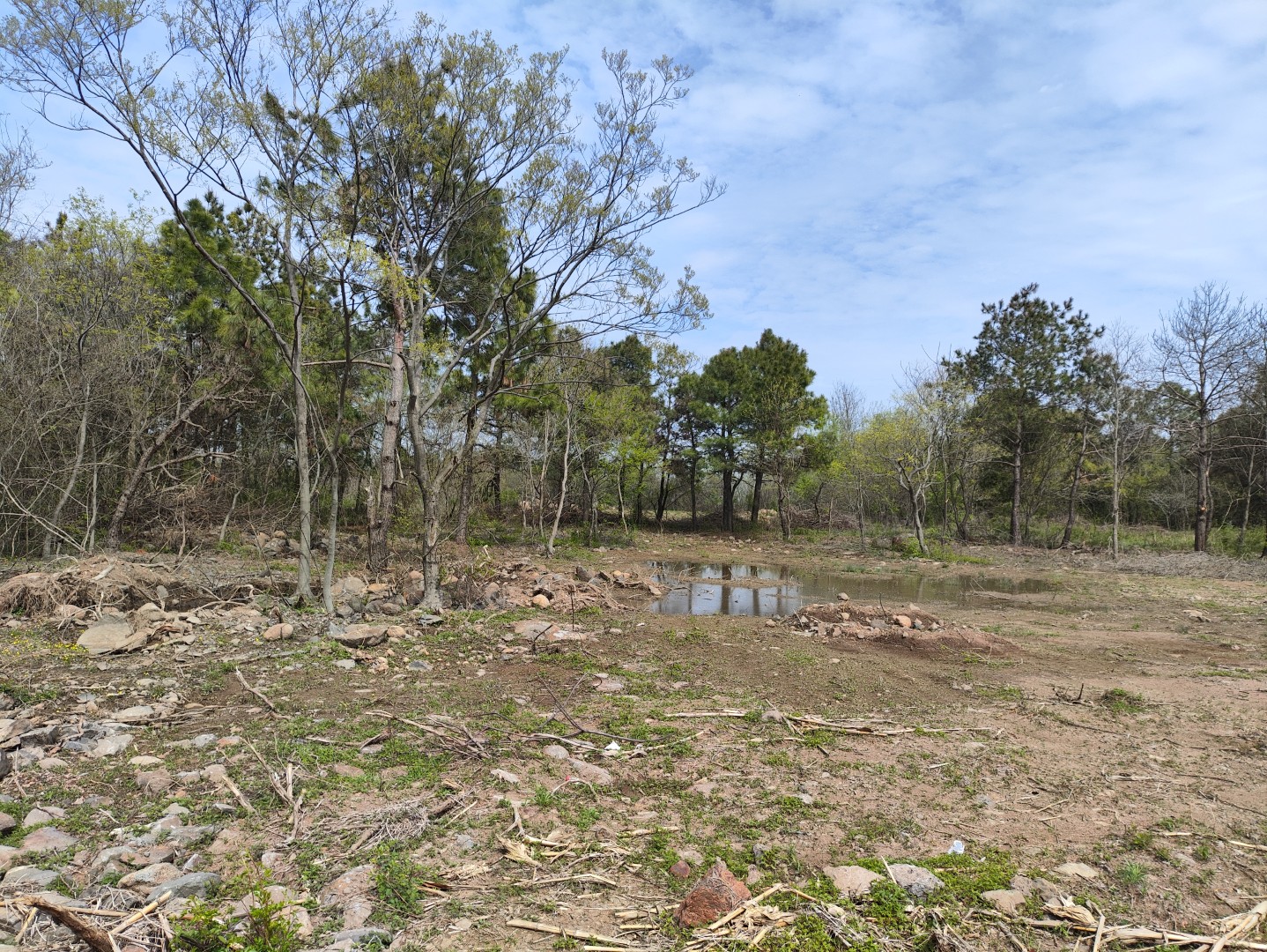 IMG_20240406_135713 (大).jpg