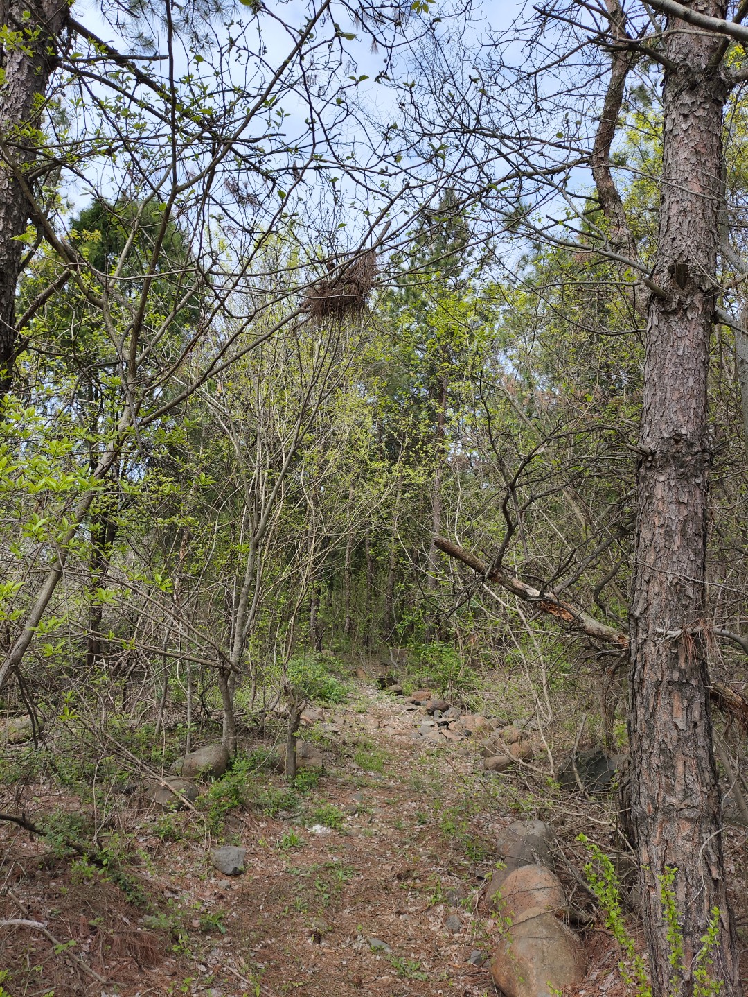 IMG_20240406_134029 (大).jpg