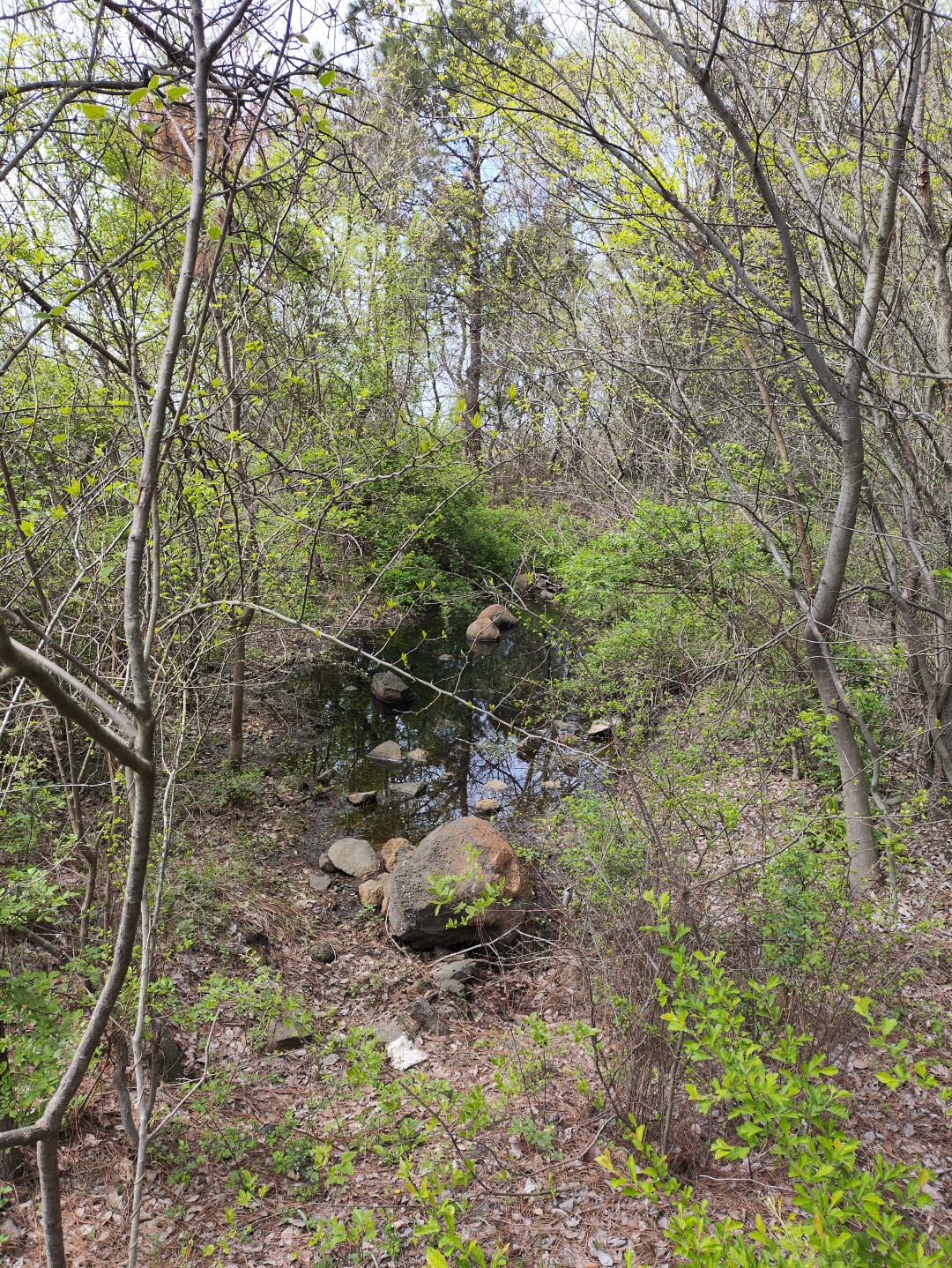 IMG_20240406_133929 (大).jpg