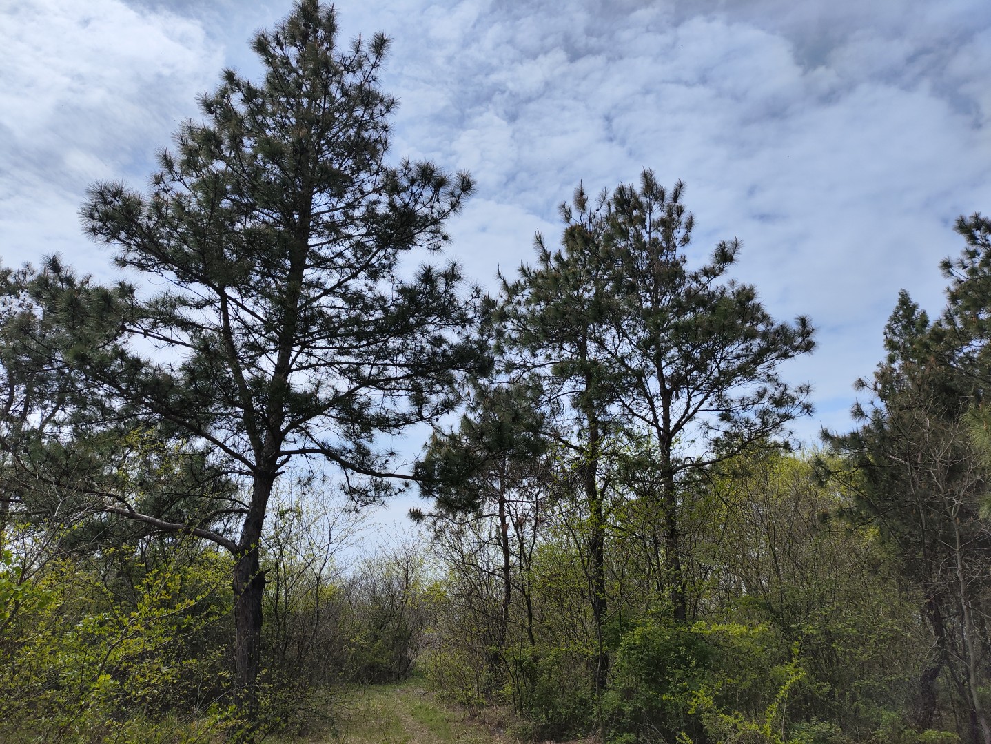 IMG_20240406_133909 (大).jpg