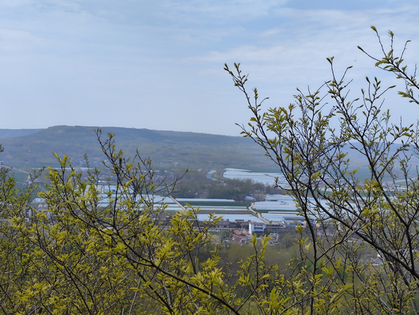 IMG_20240406_132417 (大).jpg